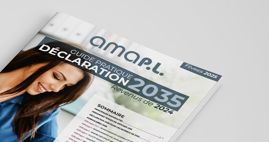 Guide pratique déclaration 2035